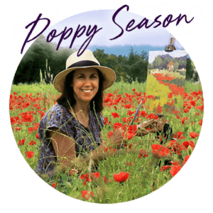 woman painting in poppy filed
