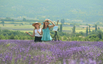 The Wonder of Lavender in Provence