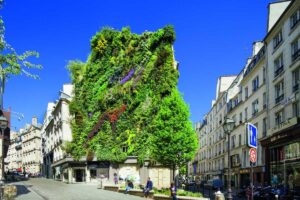 Green wall, Paris