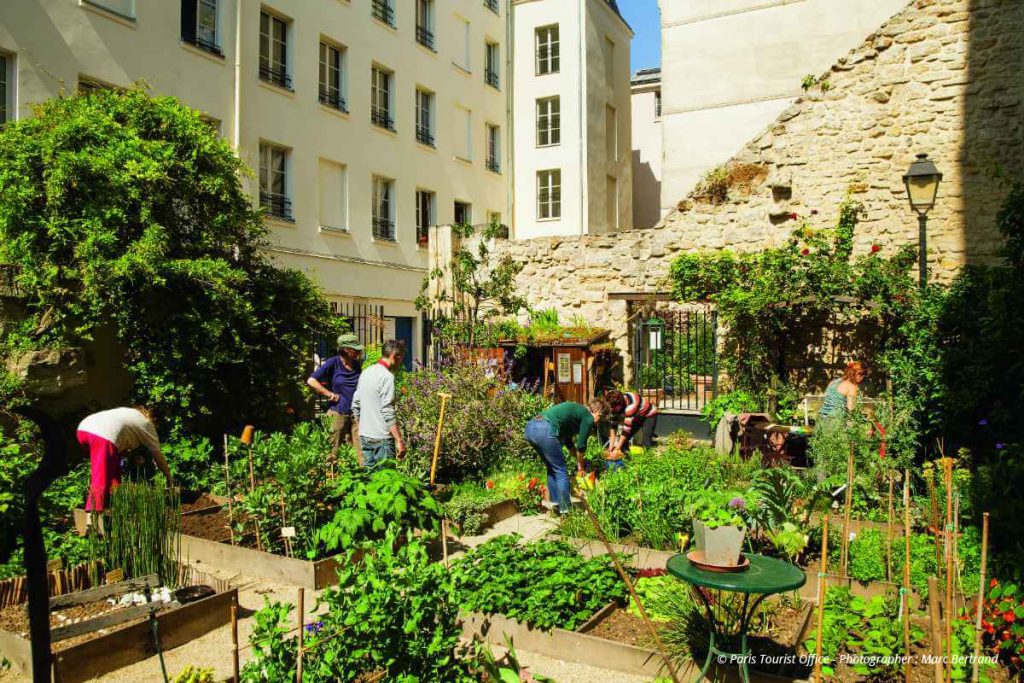 Potager des Oiseaux (vegetable garden)