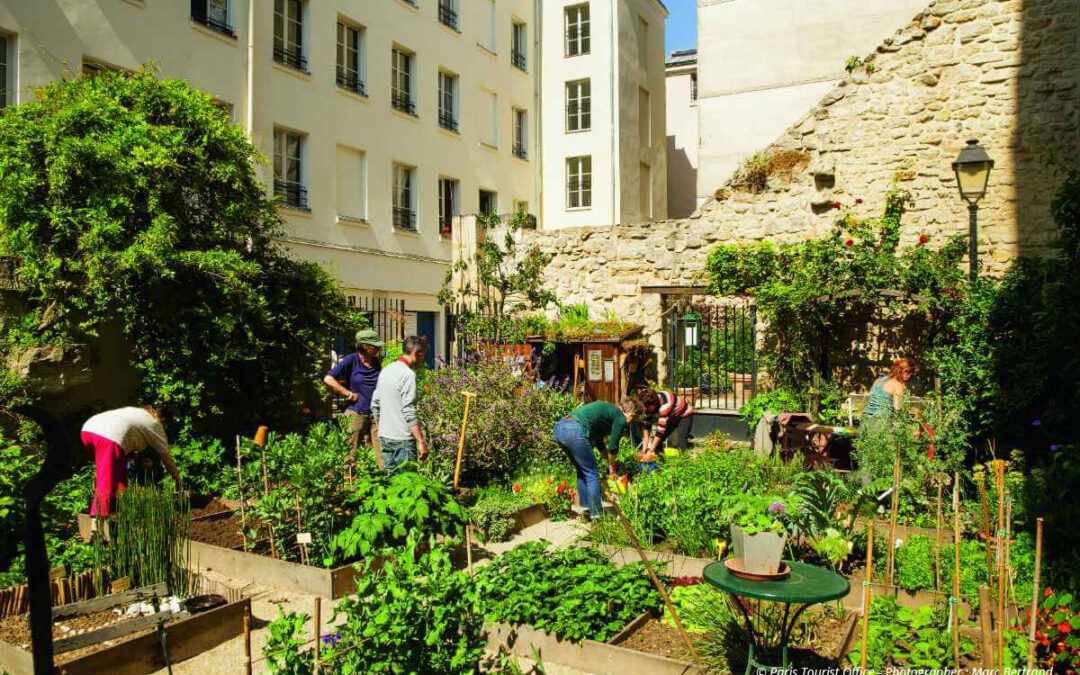 Rooftop gardens are painting the Parisian landscape green