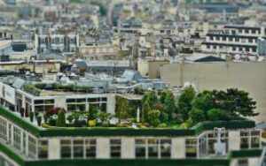 Rooftop Garden in Paris