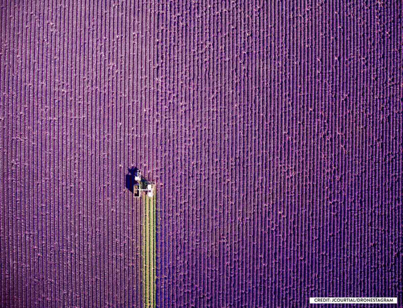 1st-prize-category-nature-summer-fe7a-diaporama