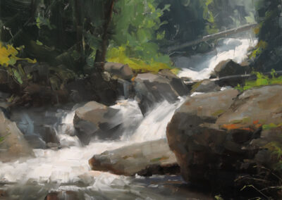 800-wild_basin_study_12x16-400×284