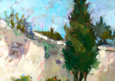 Ancient Wall by Jane Roberston