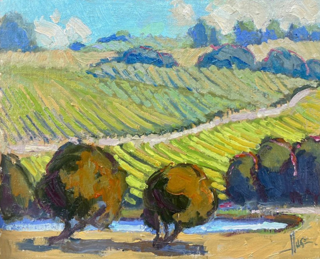 Rolling-Hill-Vineyard