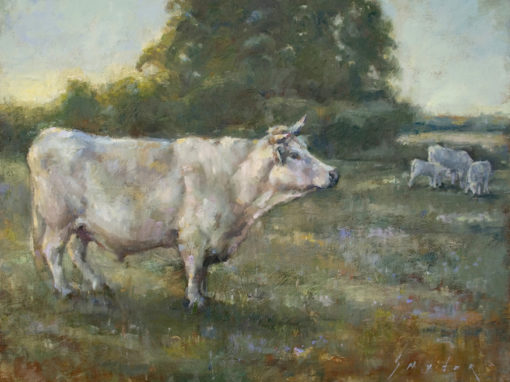 Snyder_Evening_Walk_Home-510x382