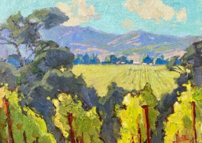Vineyard Overlook, 8×10 Debra Huse