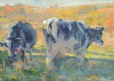 pasture800-400×284