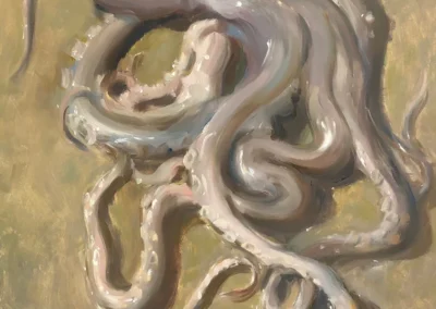 Octopus, Bryan Mark Taylor