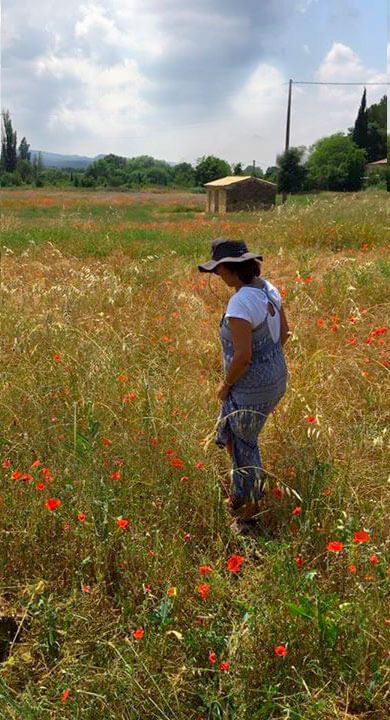 poppywalktallIMG_6557